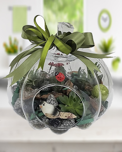 Elma Fanus Terrarium Aranjman